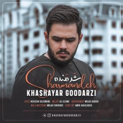 دانلود آهنگ خشایار گودرزی شرمنده با کیفیت 320